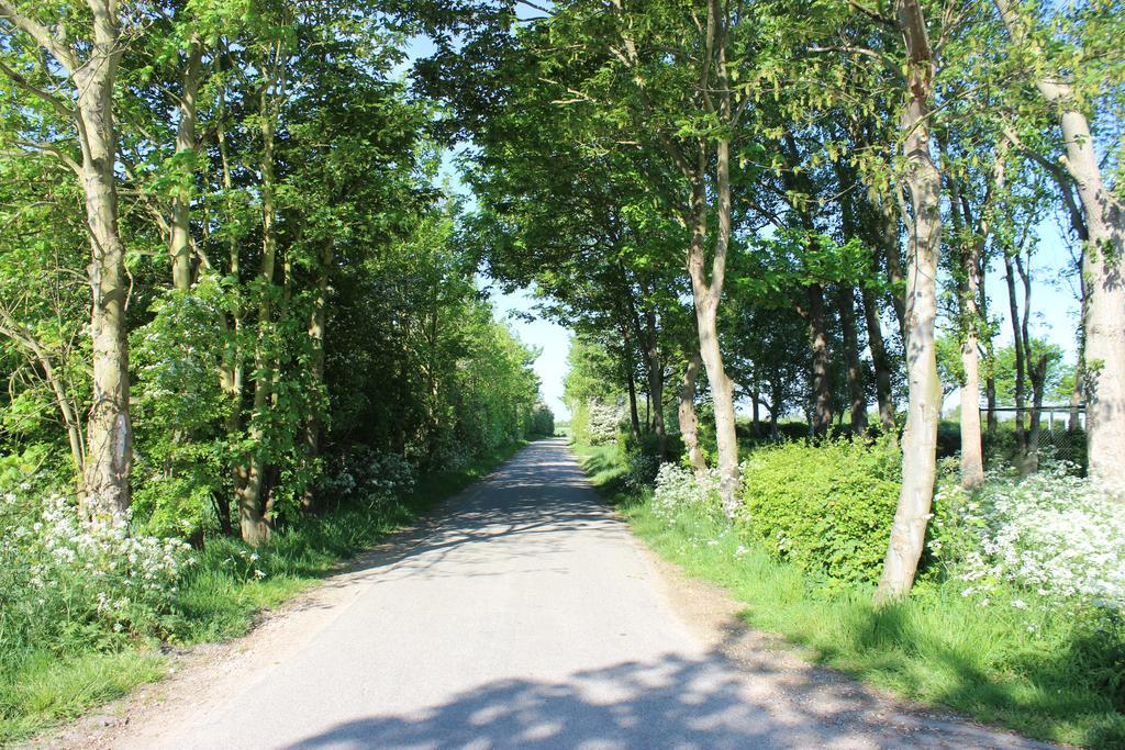 Vakantiehuis 'T Boerenhuis 阿赫特克克 外观 照片